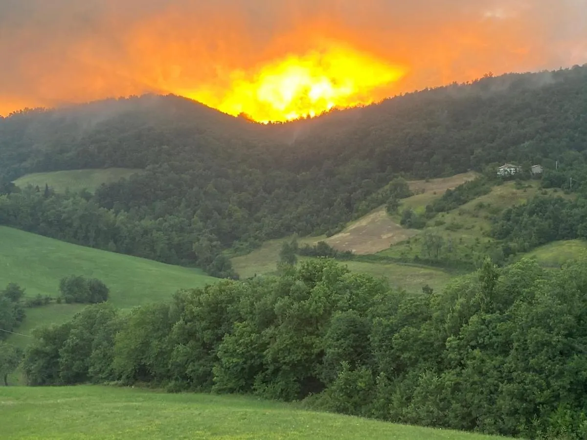 La Collina Zocca Villa Italy